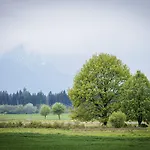 Gerl 4* Wals-Siezenheim