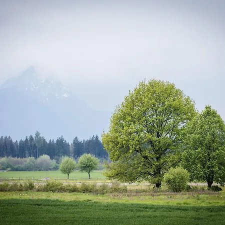 Gerl 4* Wals-Siezenheim