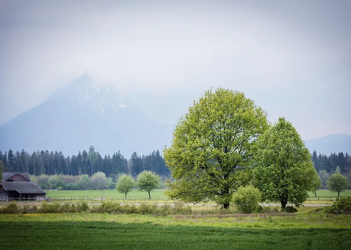 Gerl 4* Wals-Siezenheim